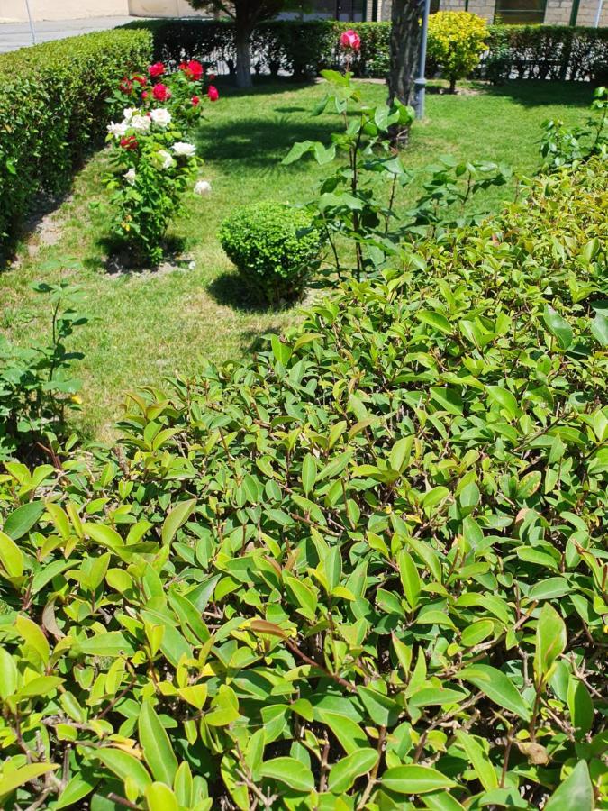 Sheki Avtovagzal Motel Экстерьер фото